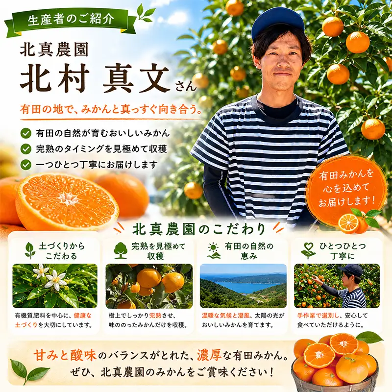 真農園 有田みかん 家庭用 約3kg 濃厚完熟 お試しサイズ （ご家庭用　2Sサイズ～Lサイズ混合）ORYY推奨_DA6108n