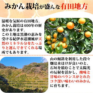 【2026年先行予約】ご家庭用　有田みかん 約7kg (2L、3Lサイズ)【湯浅町】_AT6315