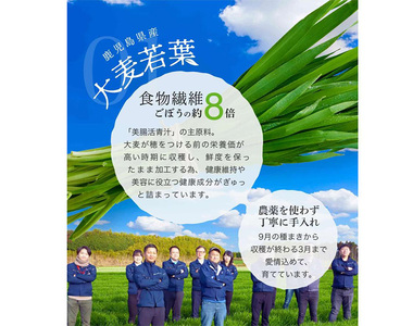 美 腸活 青汁 (3g×30包) 国産 大麦若葉 桑【チョイスジャパン株式会社】A390-v01
