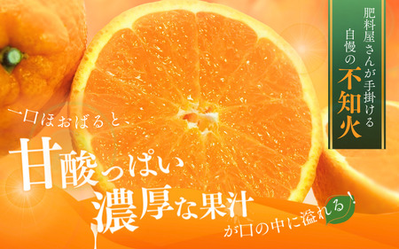 先行予約】ご家庭用 不知火 5kg 【M～4Lのサイズおまかせ】【2027年1月