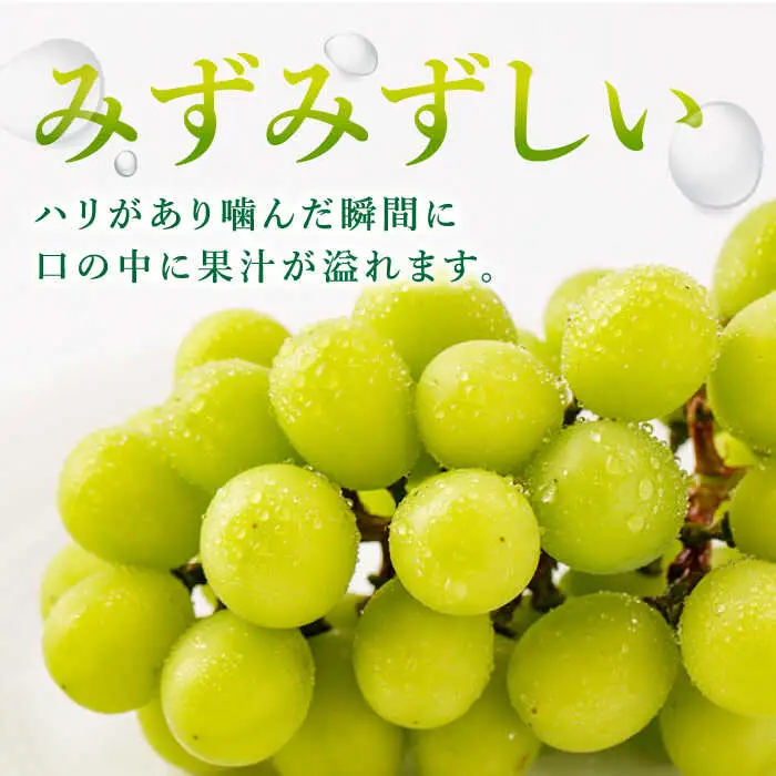 シャインマスカット 約2kg 九州産シャインマスカット /菓子工房ピュアハート [UDF002]