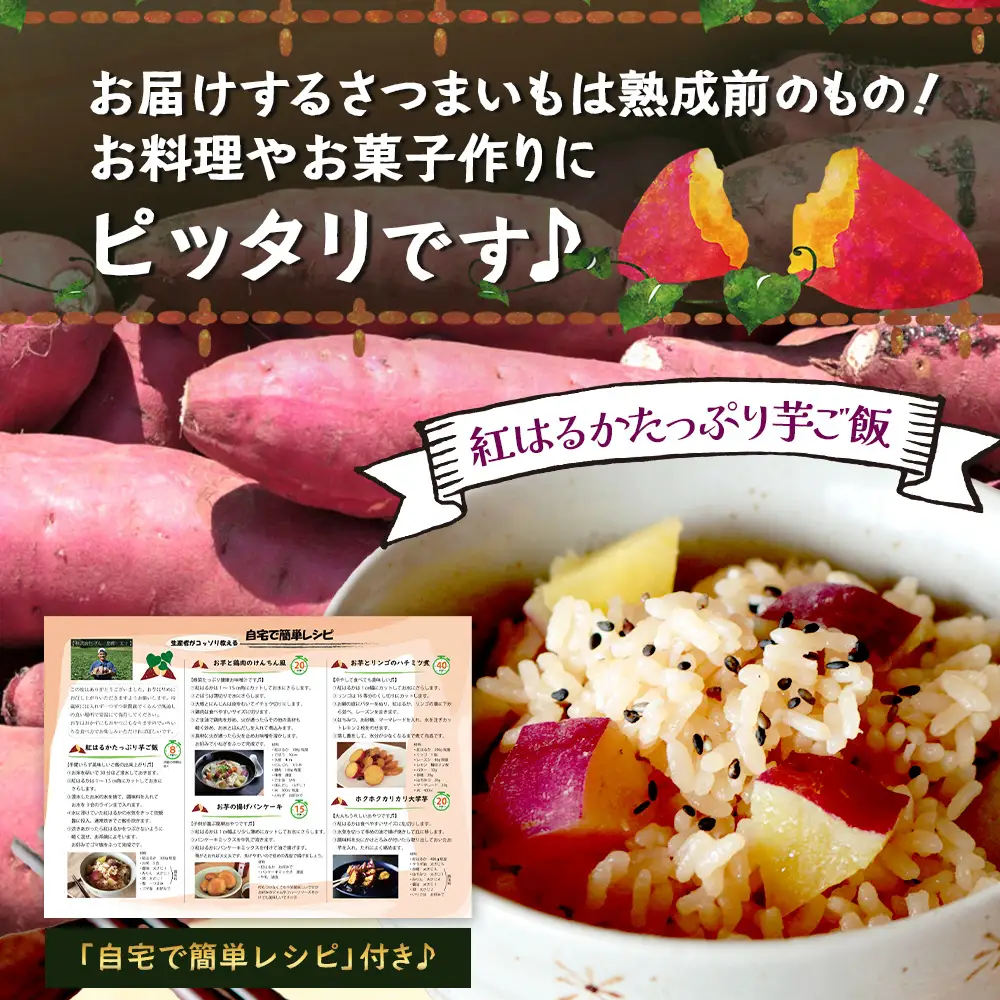 【先行予約：2026年9月中旬配送～】掘りたて さつまいも 紅はるか 5kg Mサイズ (おすそ分け袋／自宅で簡単レシピ付き）FR-204 | 秋の味覚 2026年秋収穫 新物 さつまいも サツマイモ 感動サツマイモ 焼き芋 べにはるか 使いやすい 野菜 おやつ おかず お弁当 煮物 芋ごはん 味噌汁 産地直送 鹿児島県 南大隅町 株式会社フォレスト