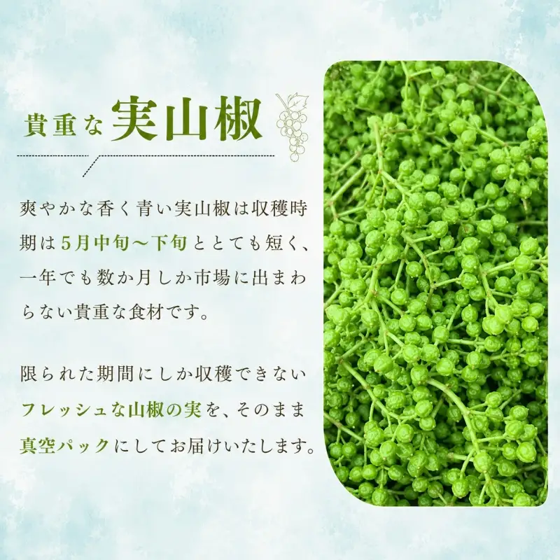  冷凍 ぶどう山椒 山椒 選べる容量 500g / 生山椒 生実山椒 さんしょう 香辛料 調味料 薬味 和歌山 紀美野【twn044-cbudo-500】
