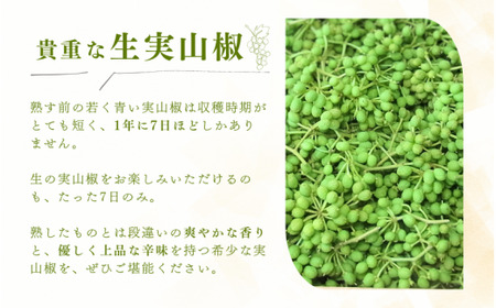 【先行予約】山椒 ぶどう生山椒 500g 2027年5月中旬から5月下旬にお届けいたします【twn044-budo-500A】