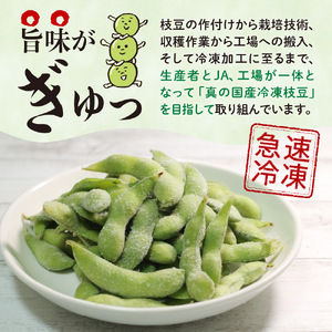 定期便 枝豆 極 冷凍 1回 300g×3袋 計 2.7kg 枝豆