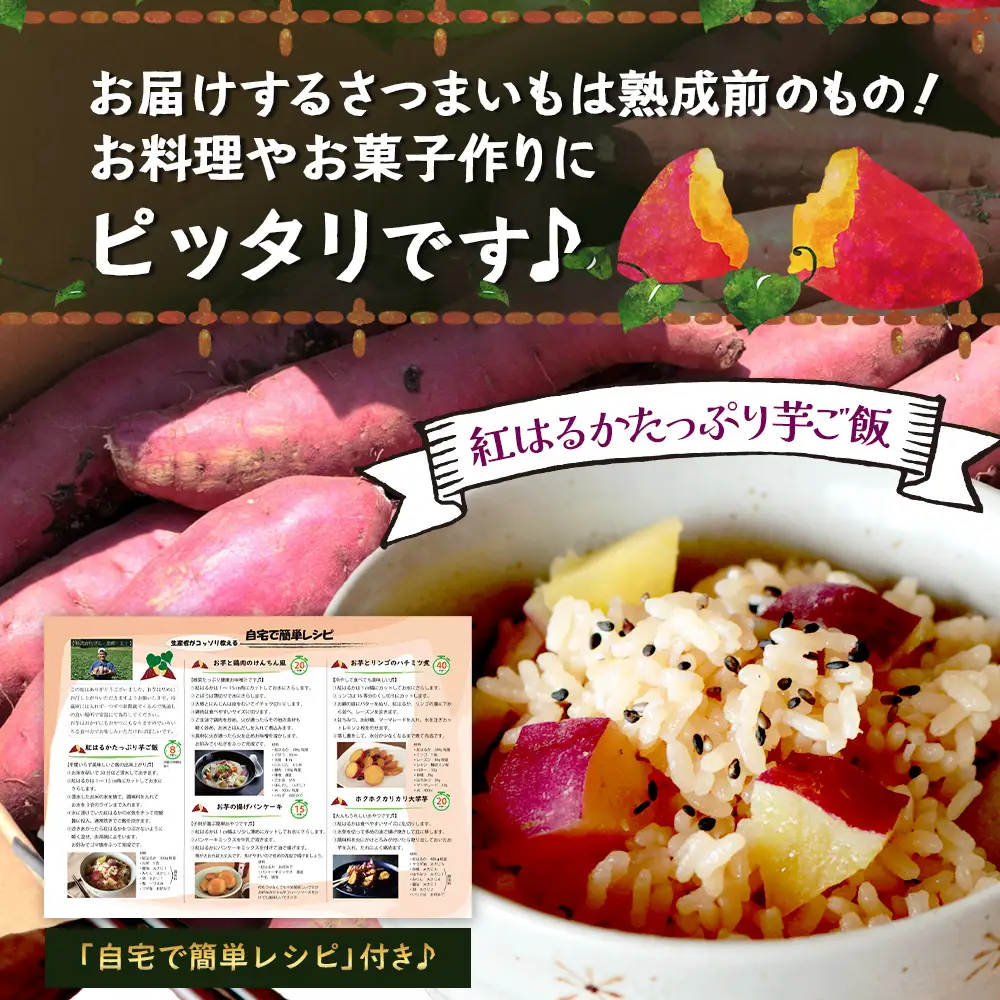 【先行予約：2026年9月中旬配送～】掘りたて さつまいも 紅はるか 3kg Lサイズ (自宅で簡単レシピ付き）FR-215 | 秋の味覚 2026年秋収穫 新物 さつまいも サツマイモ 感動サツマイモ 焼き芋 べにはるか 大きめ 野菜 おやつ おかず お弁当 煮物 芋ごはん 味噌汁 産地直送 鹿児島県 南大隅町 株式会社フォレスト