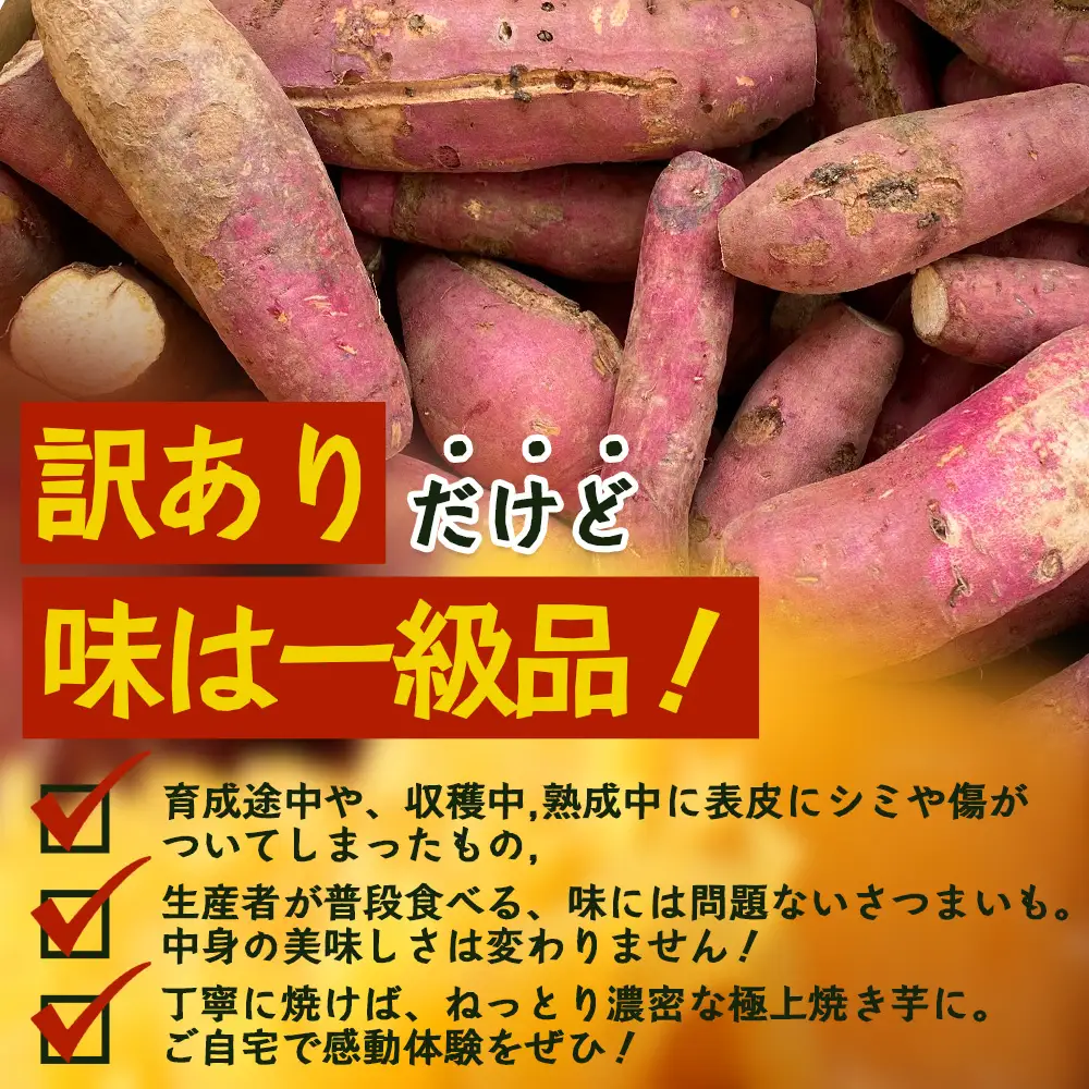 【訳あり！】【先行予約：11月下旬配送～】熟成 さつまいも 紅はるか 5kg (美味しい焼き芋の焼き方 説明書付き） FR-217｜秋の味覚 2026年秋収穫 サイズランダム 家庭用 貯蔵 糖化 さつまいも サツマイモ 感動サツマイモ 焼き芋 べにはるか 野菜 ねっとり 濃厚 おやつ おかず お弁当 煮物 芋ごはん 味噌汁 産地直送 鹿児島県 南大隅町 株式会社フォレスト