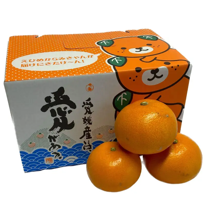 せとか 約 2.5kg 家庭用  みかん かんきつ 【TMN103_x】