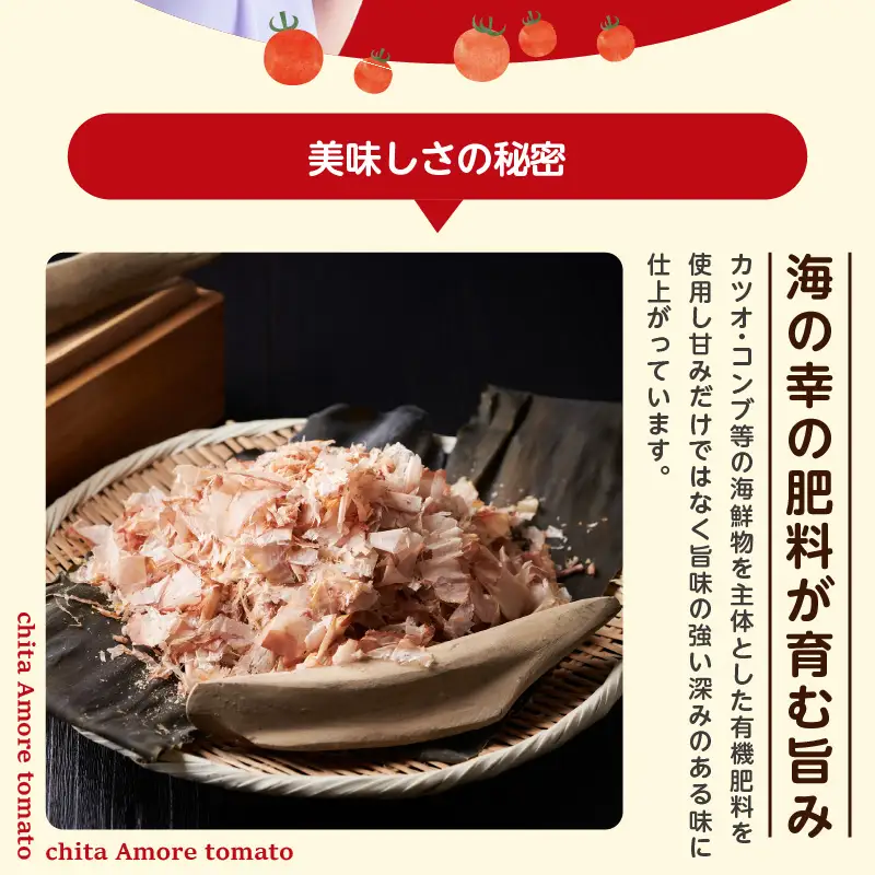 【先行予約】《11月中旬以降発送開始》有機栽培ミニトマト　知多アモーレトマト　約1kg｜トマト 知多市