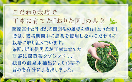 W-22181／財宝のおいしい お茶 500ml×24本