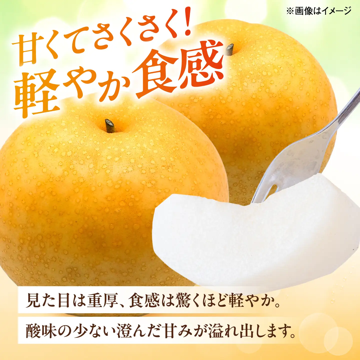【先行予約】内子町産　新高梨【7-10玉】2026年9月下旬から発送 BKAY021 梨