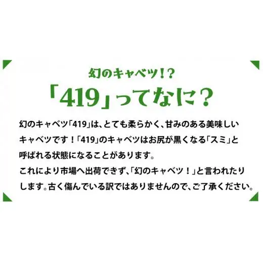 【 8月下旬発送開始 】 嬬恋キャベツ と旬の 高原 野菜 セット 1～2人 様向け [AK001tu]