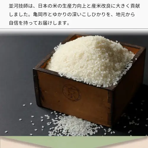 米 コシヒカリ 5kg 精米 白米