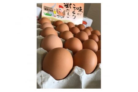 彩たまご うみたてたまご 30個 化粧箱 | 卵 たまご