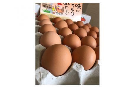 彩たまご うみたてたまご 50個 化粧箱 |  卵 たまご