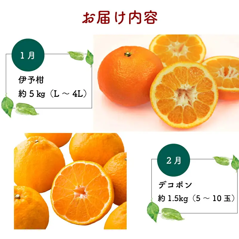 【 みかん定期便】みかん柑橘定期便6回愛媛県観光物産協会|B130-113001