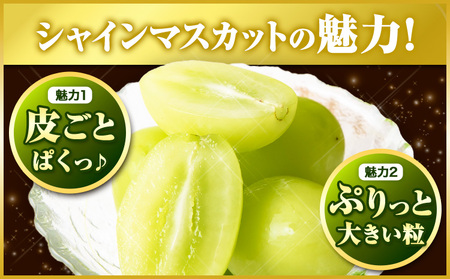 【ふるなびWEEK対象】厳選 シャインマスカット 約2kg ぶどう マスカット