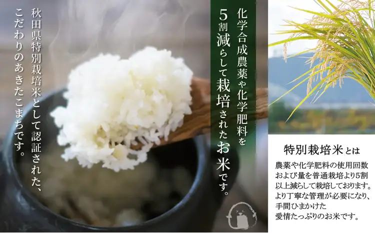 【令和7年産】秋田県特別栽培米あきたこまち「まごころ米」 10kg（5kg×2袋）110P9005【真正ファーム】