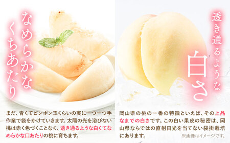 【2027年発送】桃 岡山の桃 約1kg