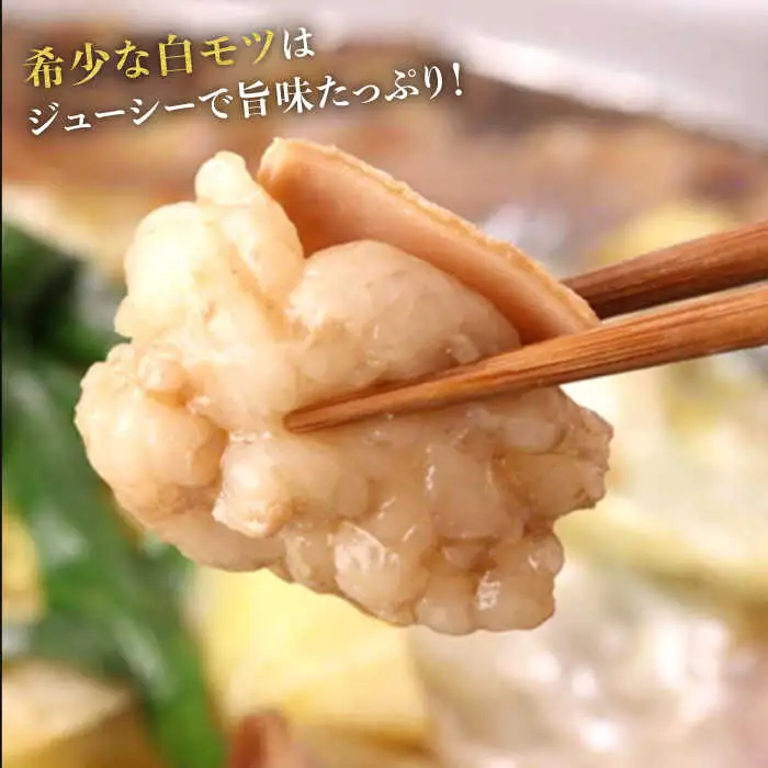 【全12回定期便】もつ鍋みそ味セット6人前(3人前×2セット) [ABCY045]