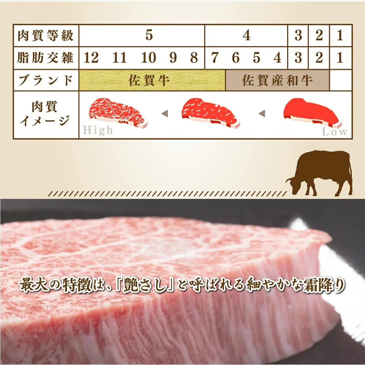 120g×5個【佐賀牛】ハンバーグ B-1011