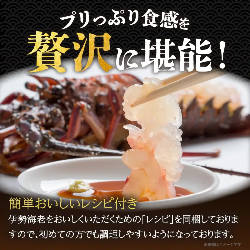 先行予約≪数量限定≫伊勢海老(計2kg) えび 魚介 海鮮 国産_T013-0025