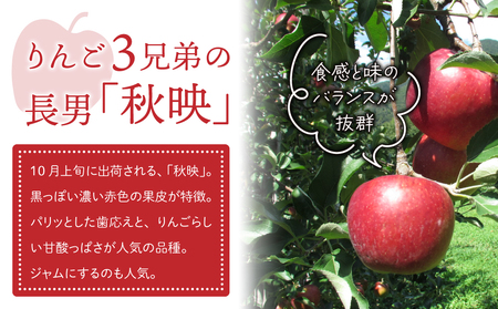 りんご「秋映」3kg 長野県オリジナル品種 ｜JA信州うえだ東部地区営農課 東御市産 ※9月下旬～10月上旬頃お届け予定