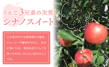 りんご「シナノスイート」3kg 長野県オリジナル品種｜JA信州うえだ東部地区営農課 東御市産 ※10月中旬～11月上旬頃お届け予定