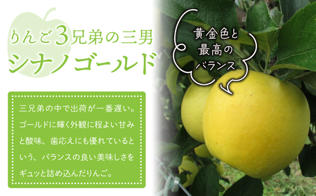 りんご「シナノゴールド」3kg 長野県オリジナル品種｜JA信州うえだ東部地区営農課 東御市産 ※10月下旬～11月下旬頃お届け予定