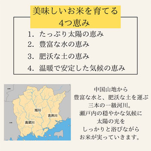 定期便 4ヶ月 令和8年産 お米 15kg（5kg×3袋） あきたこまち ひのひかり あさひ にこまる あけぼの きぬむすめ 米