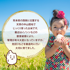 S112-014A_河浦町新合産　くまさんの輝き　精米　6kg（3kg×2）【先行受付】