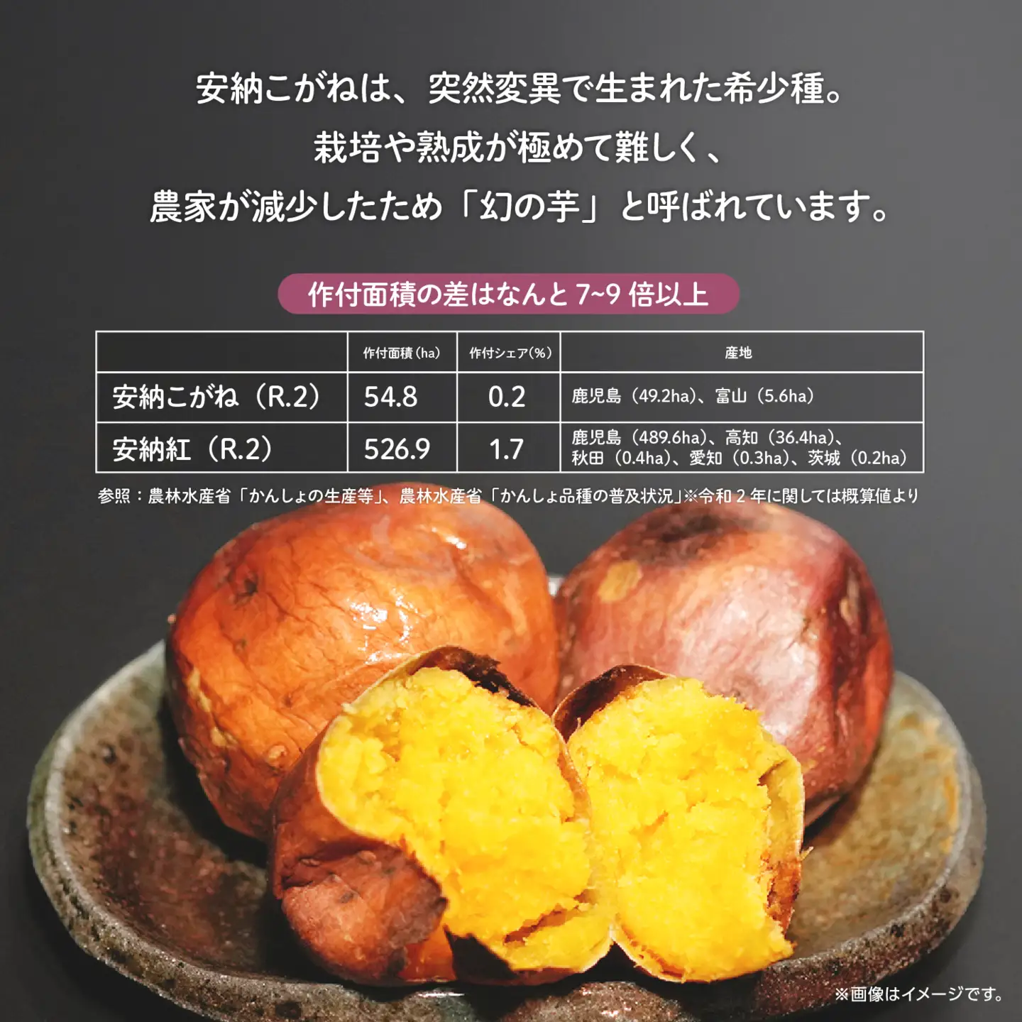 冷凍焼き芋（安納こがね）約１kg【南種子町観光物産館 トンミー市場】