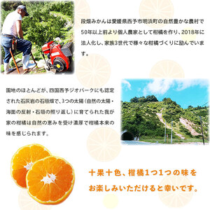 ＜愛媛県西予市産 温州みかん 贈答用 約10kg＞ ギフト 果物 くだもの ミカン 蜜柑 柑橘 フルーツ 特産品 段畑みかん 愛媛県 西予市【常温】『2024年10月下旬～11月下旬迄に順次出荷予定』ADM0016