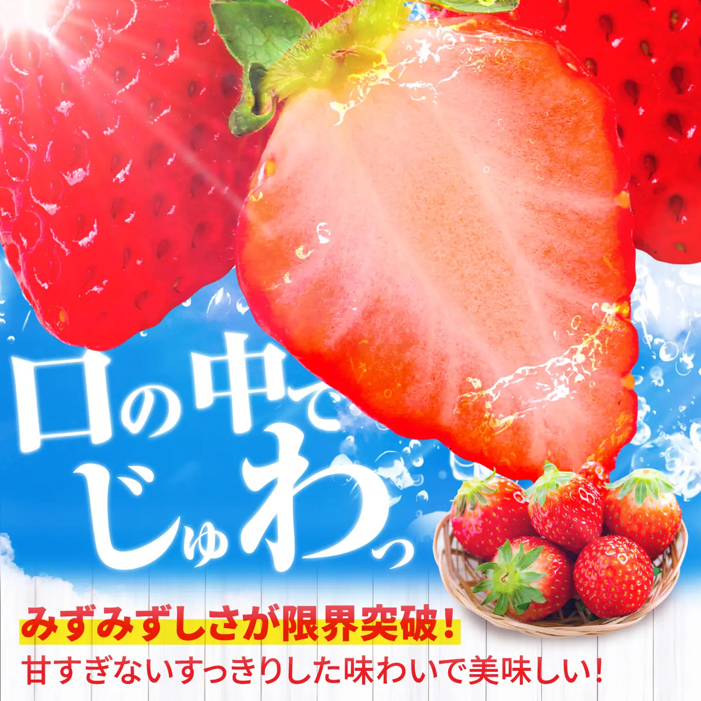 12月から4月発送 いちごさん 約800g いちご 苺[FDF001]