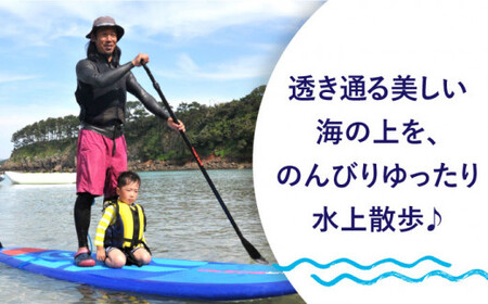 【水上散歩を楽しもう！】SUP1時間 体験（1名様）[DAI001] サップ レジャー