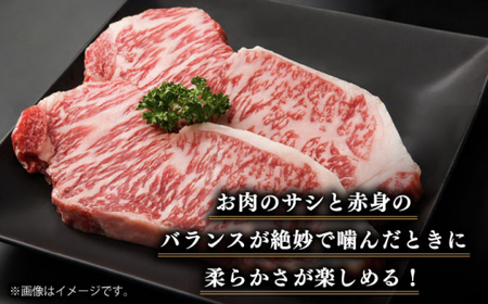 長崎和牛 サーロインステーキ 250g×4【長崎フードサービス】サーロインステーキ [DBL032] 牛肉 焼肉 ステーキ 