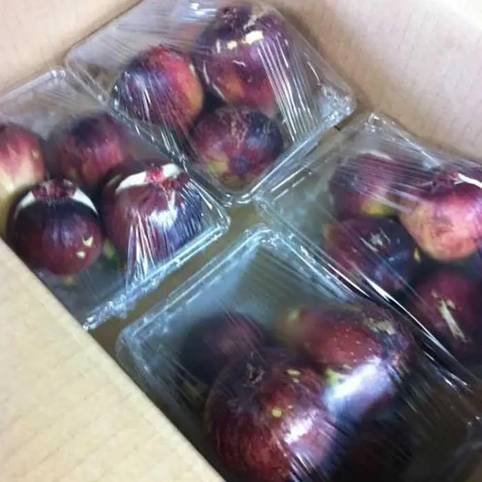 和歌山産 いちじく ご自宅用(サイズ不揃い、傷あり) 1.6kg(400g×4パック)