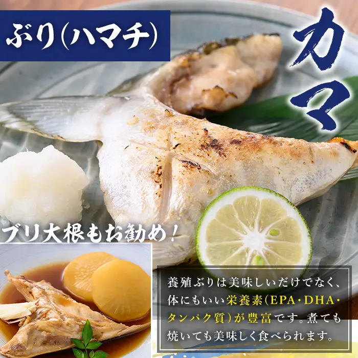 【先行予約】鹿児島県産 ぶり 切り身 2kg ぶり【00-117-02】