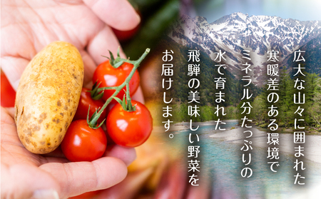 飛騨産 旬の新鮮 野菜セット (7-8品) / 野菜 セット