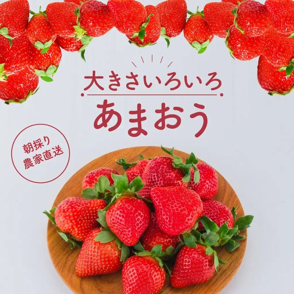 【訳あり】 いちご 2027年2月下旬より発送 あまおう サイズ色々 8パック 約2.28kg いちご