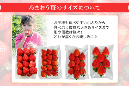あまおう苺500gとコンフィチュール120g×3個のセット ※2025年1月～5月10日頃順次発送予定 BD13