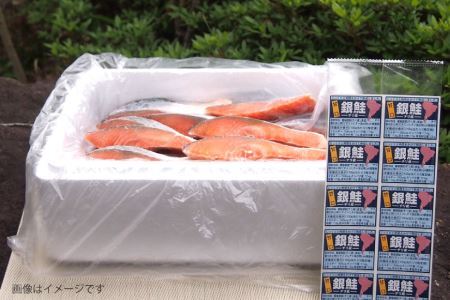 汐サケ カット 80g×10切 冷蔵