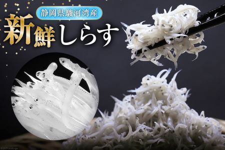 駿河湾産 しらす干し100g×3 釜上げしらす120g×3