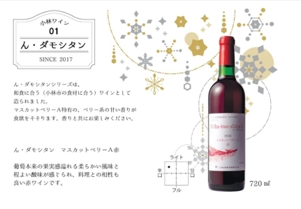 【高原のフレッシュワイン】マスカットベリーA（赤）　1ダース 国産ワイン 赤ワイン 小林ワイン 1ダースワイン ギフトワイン