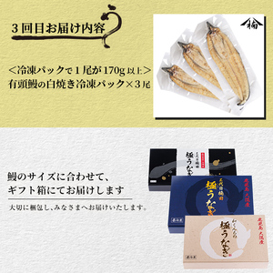 【定期便全3回】蒲焼きと白焼きが楽しめる贅沢定期便！ t0066-001