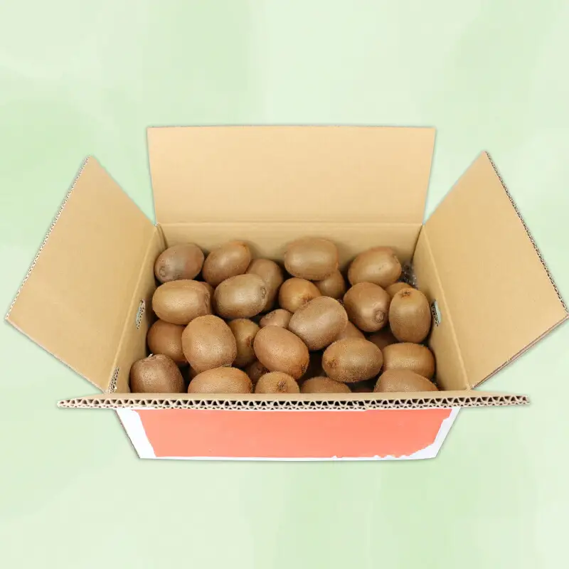 【キウイ】キウイ フルーツ 5kg 吉田農園 家庭用 | F014-160001