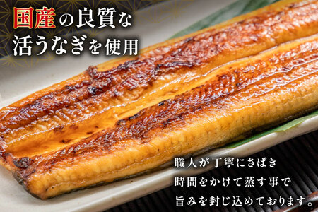 うなぎ 国産 蒲焼 2尾 うなぎ(計260g)