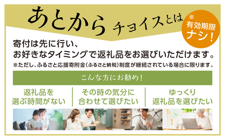 ＼あとから選べる ／オンライン カタログ あとからチョイス 2万円 カタログ [S531]