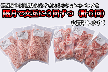 ＜定期便6回＞ 北海道産 健酵豚 小間切れ ＆ ひき肉 計 1.2kg (全7.2kg)