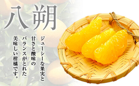 【訳あり/ご家庭用】八朔 4kg＋1kg  計約5kg サンファーム《2027年1月上旬-3月末頃より出荷予定》